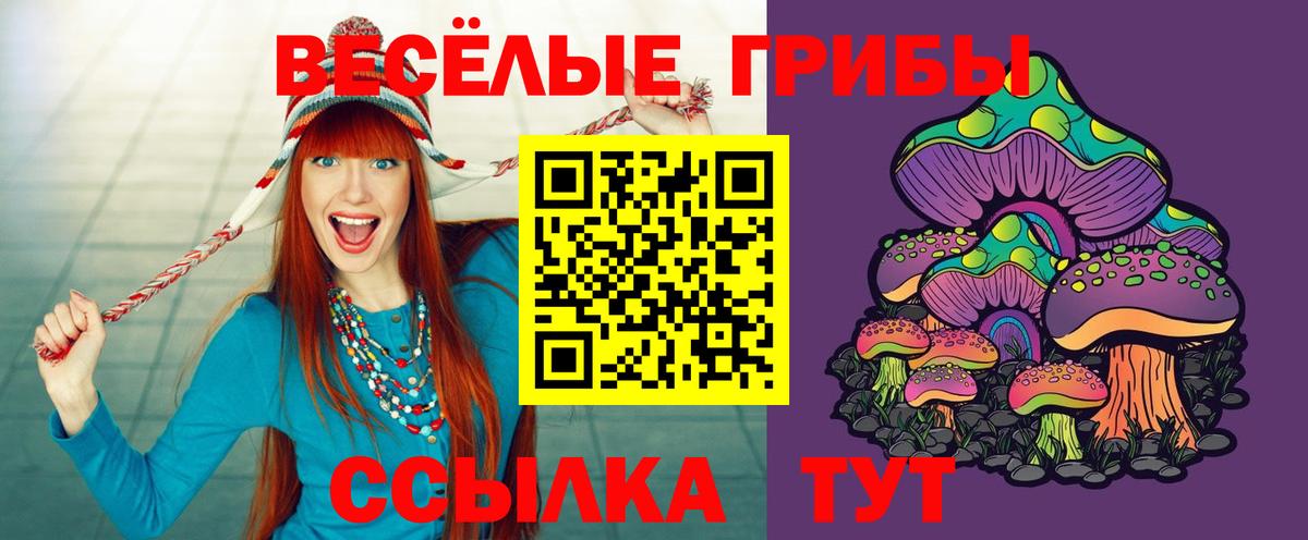 Галлюциногенные грибы MAGIC MUSHROOMS  Вход с VPN  Донецк 